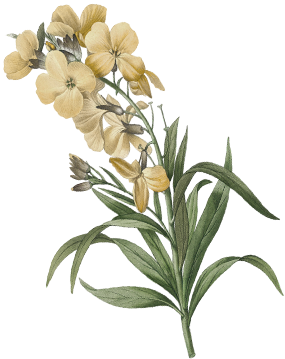 1225 ASSET ACEH 6.png